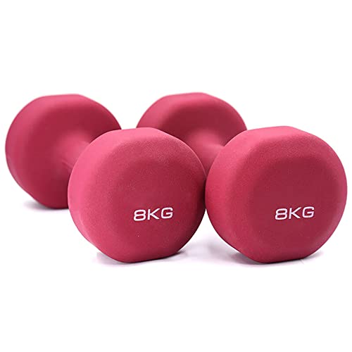 yl Mancuernas, 5 Kg, 8 Kg, 10 Kg, Dumbbells (Se Venden por Par), para Fortalecer Los MúSculos, Tonificar el Gimnasio en Casa/A / 2x8kg