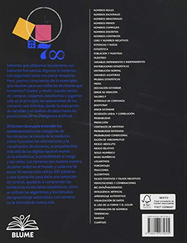 50 temas clave para Entender Los Números (Nueva Gruía Breve)
