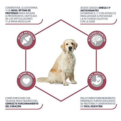 ADVANCE Senior Maxi - Pienso Para Perros Senior De Razas Grandes Con Pollo - 14 kg