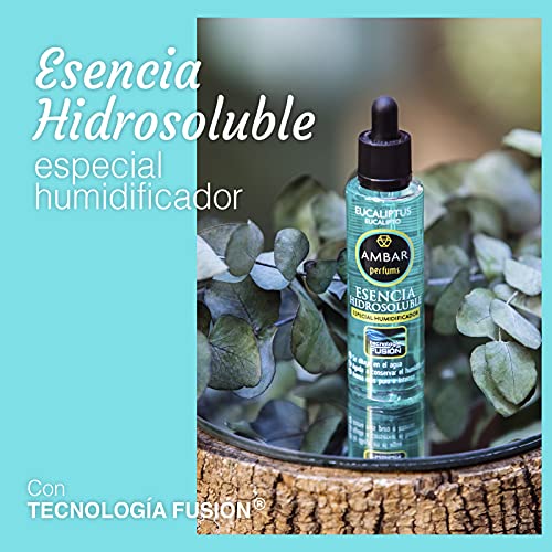 Ambar Perfums 26040110 Esencias Naturales Hidrosolubles, Tecnología Fusión para Humidificador. Tamaño XL, 5 uds de 50ml, Transparente, 50 ml