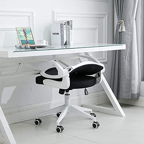 BAIRES4 - Silla Plegable para Escritorio y Oficina Cómoda Ergonomica con Brazos Abatibles Soporte Lumbar y Cojin Resistente - (Blanco)