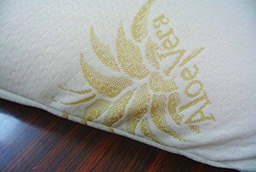 Baldiflex Almohada de espuma viscoelástica modelo pastilla, almohada de Memory contra el dolor de cuello y cervical, funda de aloe vera, 135 x 35 cm