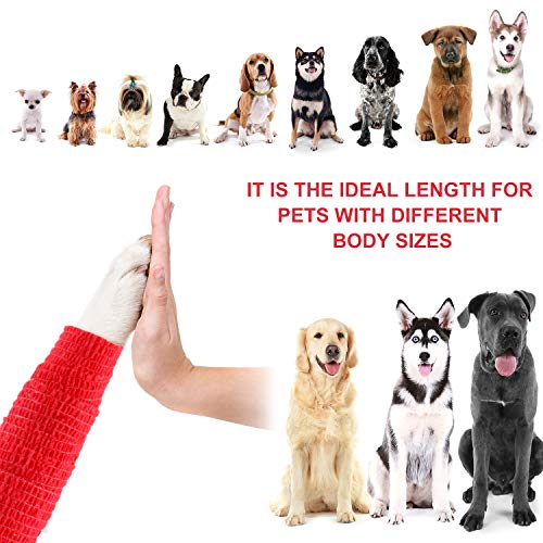 BBTO 2 Piezas Vendaje Autoadhesivo de Mascota Vendas Elásticas Cohesiva Vendaje Veterinario para Muñecas Esguinces de Tobillo Hinchazón Vendaje de Perros