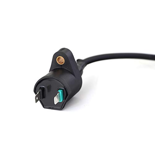 Bobina de encendido para hagebaumarkt Dolphin 50, Flex Tech FUN 50, Flex Tech topspeed 50, Formula 2000, Formula 3000, Genua 50 (2pin, 2T/4T)