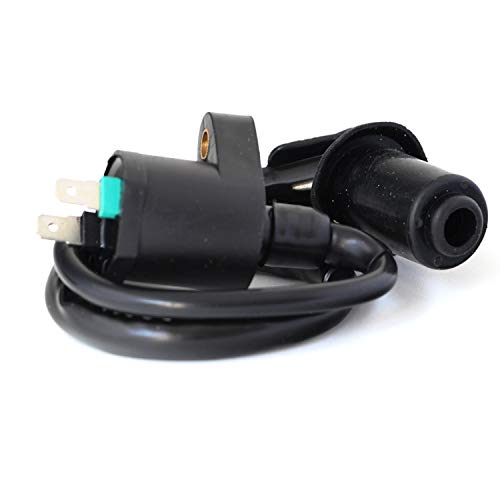 Bobina de encendido para hagebaumarkt Dolphin 50, Flex Tech FUN 50, Flex Tech topspeed 50, Formula 2000, Formula 3000, Genua 50 (2pin, 2T/4T)
