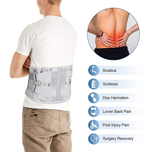 Cinturón de Soporte Lumbar, Cinturón Lumbar Soporte Lumbar, Faja lumbar ajustable, Lumbar para la Espalda el alivio del dolor lumbar, Lesiones, Ciática, Hernia de Disco(L)