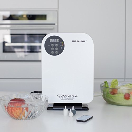 ECODE Generador de Ozono portátil, Mando a Distancia, programable, purificador Agua, Alimentos Ozonator Plus 500mg/h