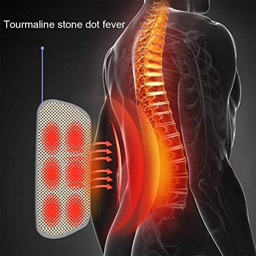 Entrenador de postura Transpirable lumbar ortopédico removible lumbar cojín Hombres Mujeres alivio del dolor hernia discal, Alivio lumbar Estabilidad Firma Corrección anti-jorobada ( Size : X-Large )