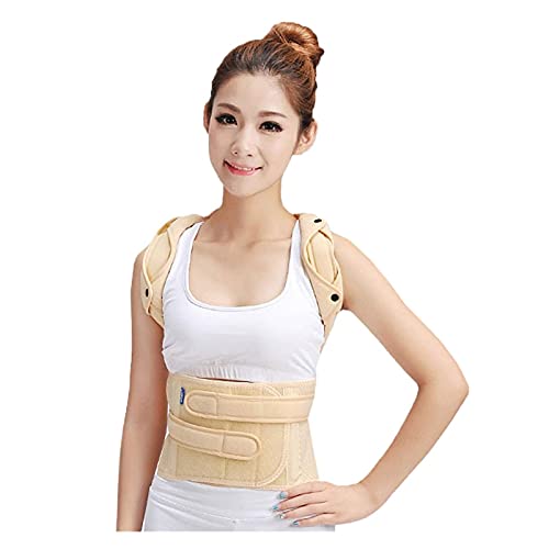IJNBHU Corrector de Postura del Hombro Trasero Soporte de órtesis lumbo-Sacra torácica Fractura espinal médica Cifosis Brace Holgado (Color: Altura Inferior a 175 cm, Tamaño: Pequeño)