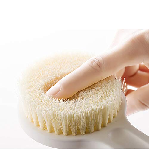 Ithyes - Cepillo corporal, cepillo de baño de ducha con mango largo y cerdas suaves para exfoliar, masajear, mejorar la circulación sanguínea o tratar celulitis