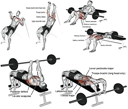 luckeu Banco de Pesas Ajustable, Banco de musculacion para Entrenamiento de Cuerpo Entero, Banco de pesas multifunción para abdominales y entrenamiento de fuerza en casa