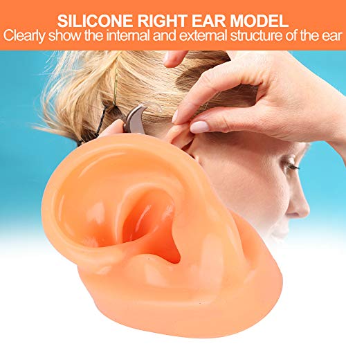 Modelo De Oreja Derecha De Silicona, Modelo De Oreja Modelo De Oreja Con Pantalla De Simulación Oreja De Silicona Para Aplicadores E Hisopos Para Audífonos Hospitalarios