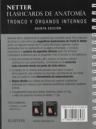 Netter. Flashcards de anatomía. Tronco y órganos internos, 5e
