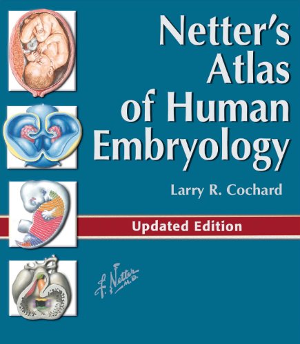 Netter's Atlas of Human Embryology E-Book: Updated Edition (Netter Basic Science) (English Edition)