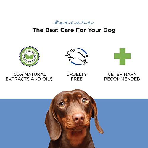 PETUCHI Bálsamo Curativo de Nariz para Perros; Disenfecta, Trata e Hidrata Nariz Agrietada y Seca; 100% Bio; 100ml