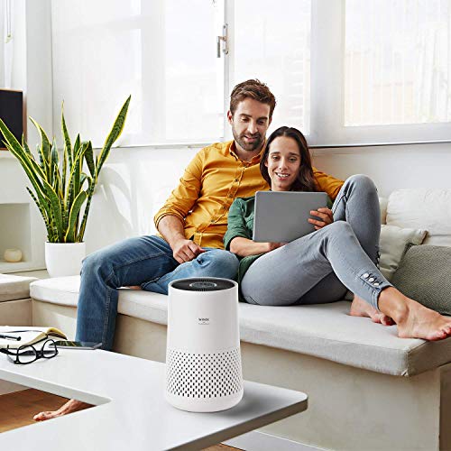 Purificador de aire WINIX A332. CADR 228 m³/h (hasta 45 m²), filtro HEPA H13, limpia el 99,97% de Virus, Bacterias y Alergias. Con Tecnología PlasmaWave.