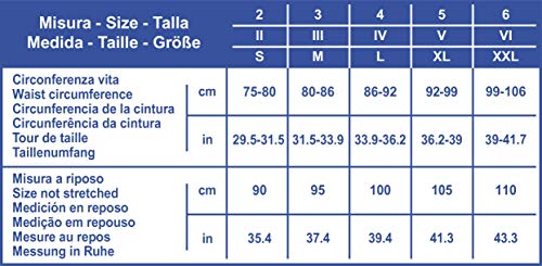 Scudotex Cinturones Inguinalel Para Hernias - 1 unidad