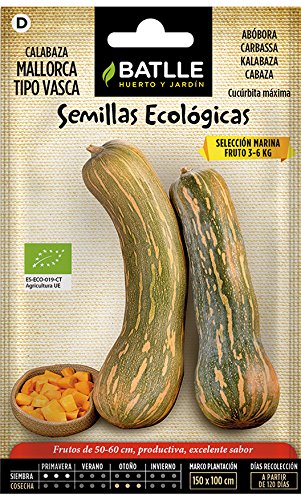 Semillas Ecológicas Hortícolas - Calabaza Mallorca Tipo Vasca - ECO - Batlle