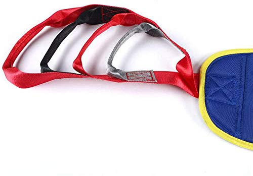 WLKQ Grúa de Paciente Arnés De Elevación De Paciente De Cuerpo Completo,Eslinga Elevación con Accesorios De Bucle,para Posicionamiento Y Elevación De La Cama,Enfermería, Cuidador 507 Libras