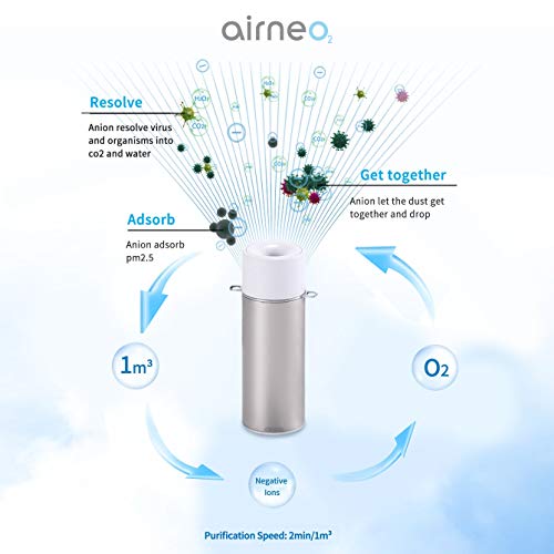 AIRNEO PR1- Purificador de Aire Ionizador portáil. Elegante diseño, Recargable, Compacto y Ligero. Purifica el Aire emitiendo Iones Negativos. Elimina gérmenes, ácaros, bacterias, alérgenos, Humo