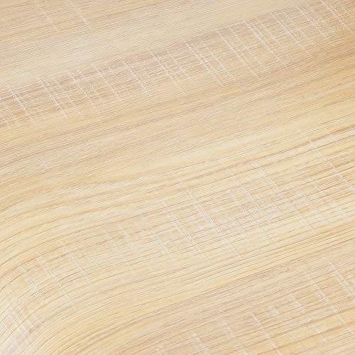 Albatros Silla de diseño Turin, Set de 4 sillas, Roble, de Madera contrachapada