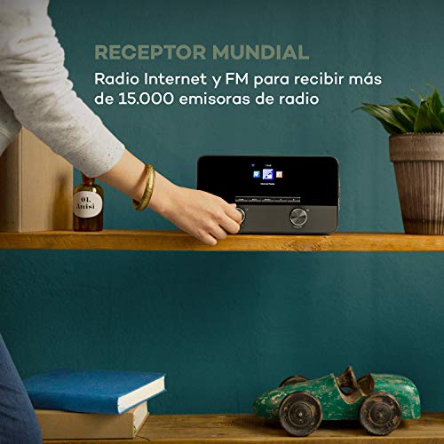 auna Connect 100 SE - Radio WiFi con Internet, Reproductor Multimedia, Bluetooth, Control por App, Pantalla TFT en Color 2,4", USB, Entrada AUX, FM, Salida de línea, Marrón