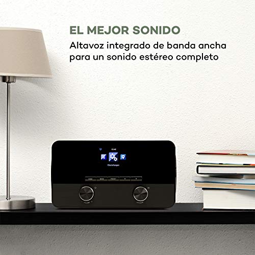 auna Connect 100 SE - Radio WiFi con Internet, Reproductor Multimedia, Bluetooth, Control por App, Pantalla TFT en Color 2,4", USB, Entrada AUX, FM, Salida de línea, Marrón