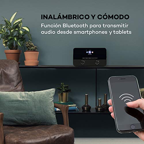 auna Connect 100 SE - Radio WiFi con Internet, Reproductor Multimedia, Bluetooth, Control por App, Pantalla TFT en Color 2,4", USB, Entrada AUX, FM, Salida de línea, Marrón