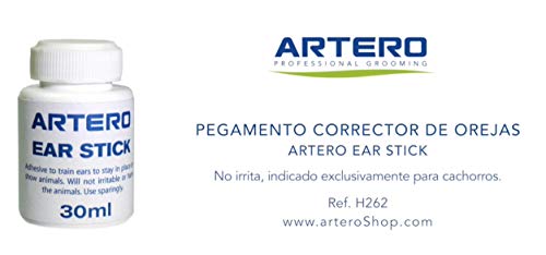 BELLEZA PEGAMENTO PARA OREJAS