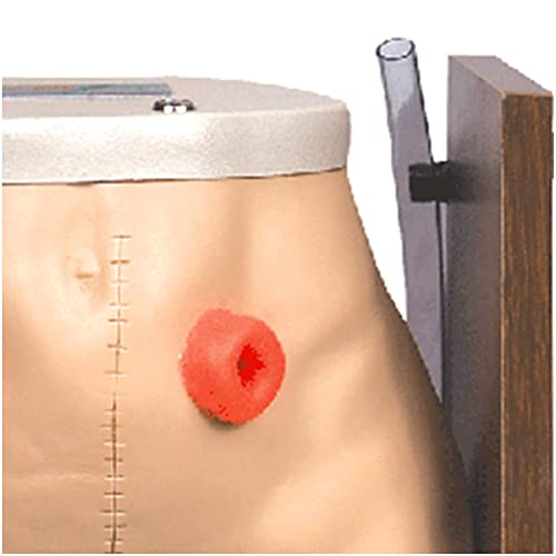 BJH Modelo de ileostomía de colostomía - Modelo de enfermería de ostomía de fístula Avanzada - para Suministros de enseñanza de capacitación y educación de enfermería, tamaño Real (Car