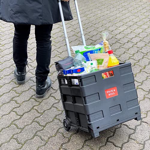 Caja de Plastico Plegable con Ruedas - Hasta 35 kg de Carga - Asa de Aluminio Extensible - Multiusos - Color Negro