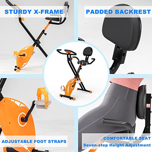CITYSPORTS Bicicleta Estática Plegable con Respaldo, Bicicleta para Ejercicios Profesional con 8 Niveles de Resistencia, Monitor de Pantalla LCD con Sensor de Frecuencia Cardíaca, D1-1 (‎CS01)