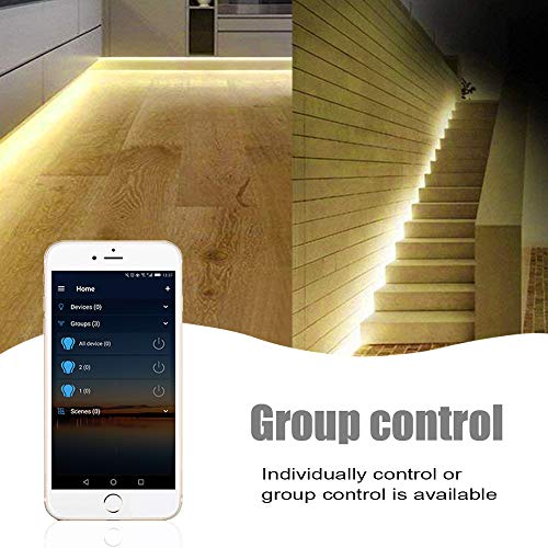 Controlador de tira de LED regulable inalámbrico blanco cálido / blanco frío, funciona con Alexa, controlador de atenuación para sistema Android / iOS