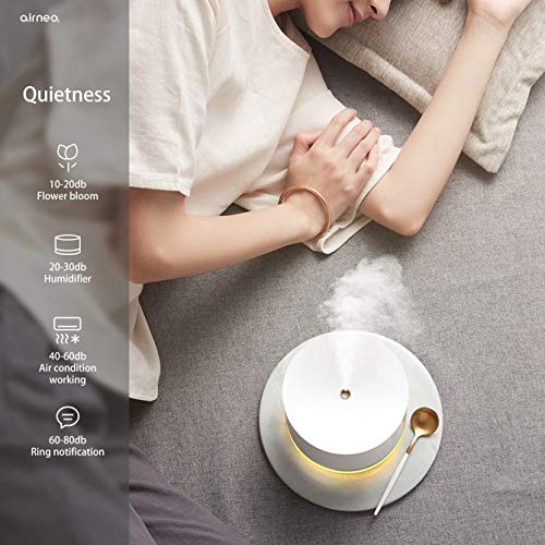 Cover Brands Airneo HM1 - Humidificador portáil inalámbrico. Nebulizador, purifica e hidrata el Ambiente. Ultra silencioso, luz LED, Relax y Comfort. Capacidad: 780 ml. Apagado automático.