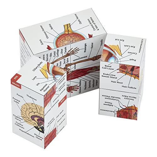 Cubo de estudio de anatomía humana | Estudia 9 partes del cuerpo humano | Guía de revisión de anatomía perfecta | Gran regalo para enfermeras y estudiantes de medicina