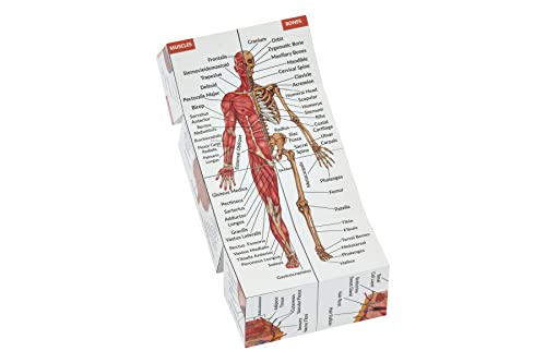 Cubo de estudio de anatomía humana | Estudia 9 partes del cuerpo humano | Guía de revisión de anatomía perfecta | Gran regalo para enfermeras y estudiantes de medicina