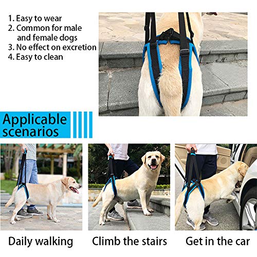 Doglemi - Arnés de elevación portátil para perros con patas traseras débiles para recuperación de cirugía y alivio del dolor