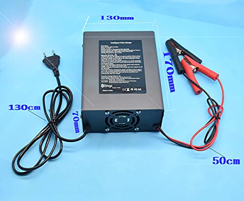 Etrogo Cargador Coche 12V 24V 10A 250W de Pulso Inteligente con Función Automática de Detección Reparación Mantenimiento con Pantalla LCD
