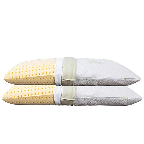 EvergreenWeb – Almohadas Cama cervicales de Memory Foam 40 x 70 Bajos 9 cm, Forro con aceites Esenciales Aloe Vera Funda extraíble y Lavable en Lavadora, par Almohadas automodellanti