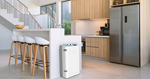EVVO PURIFICADOR DE Aire P60 / 60 m2 / Filtro HEPA 13