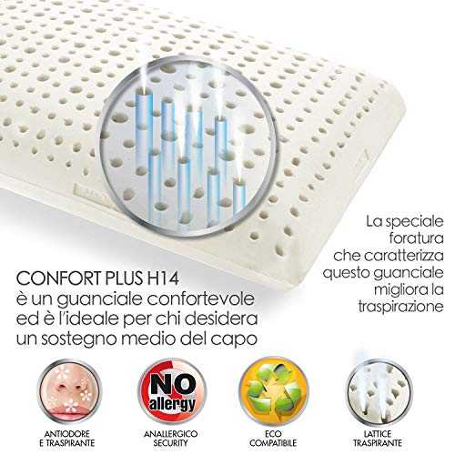 Goldflex Par de 2 Almohadas de látex con Forma de jabón, Altura de 14 cm, con Canales de ventilación, Transpirables, recubiertas de un Tejido Protector Fabricado al 100% en algodón.