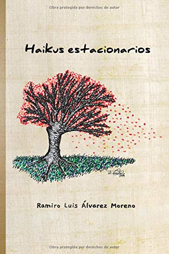 Haikus estacionarios