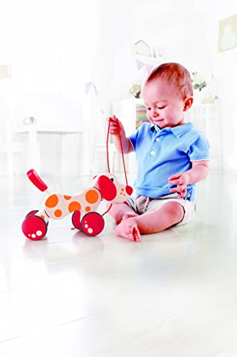 Hape- Juego de Arrastre (E0347)