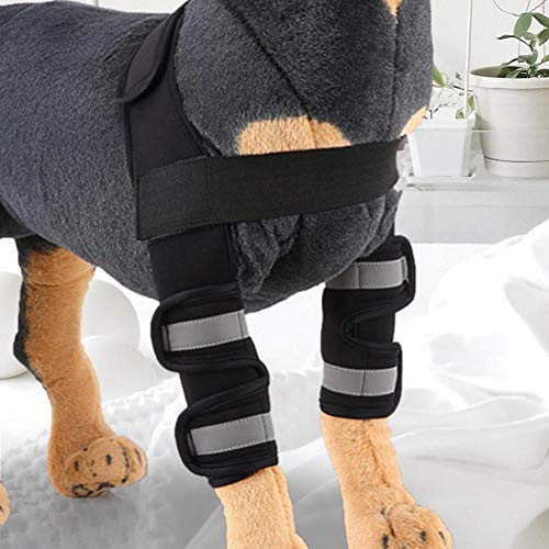 Hffheer Vendaje de Rodilla para Perros Vendaje de protección de la articulación del Tobillo Vendaje de Tobillo de Pierna de Perro Mascota con Correas Reflectantes para Lesiones después de