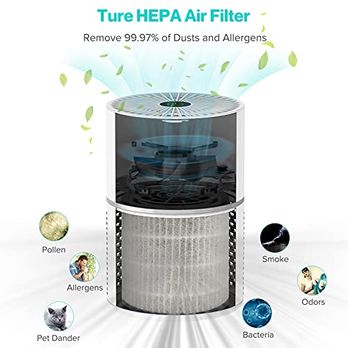 HIMOX Purificador de Aire Compacto con Filtro Hepa, Mini Purificador USB Anión para Oficina Hogar, Hepa Filtra 99.5% Polvos, Alérgenos, Polen y Olor