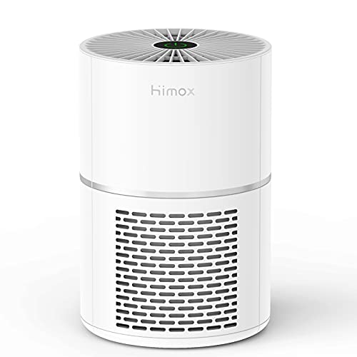 HIMOX Purificador de Aire Compacto con Filtro Hepa, Mini Purificador USB Anión para Oficina Hogar, Hepa Filtra 99.5% Polvos, Alérgenos, Polen y Olor