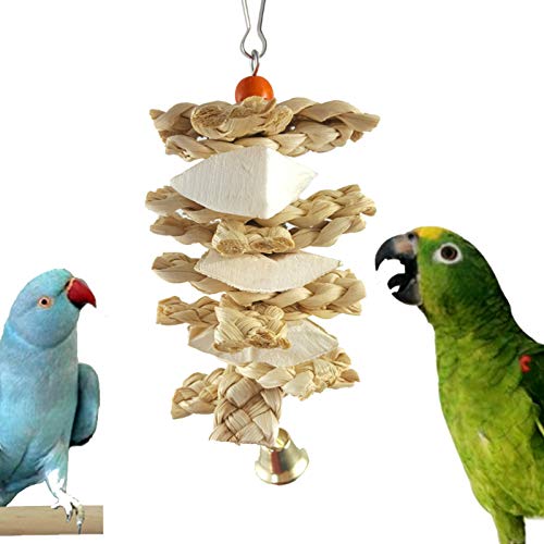 Hueso de sepia, loros Masticar Aves Huesos de calamar Molienda Forraje sepia Piedra de calcio Dientes de loro para moler pájaros Hueso De Sepia Con Campana Para Aves Loros Periquitos Cacatúas