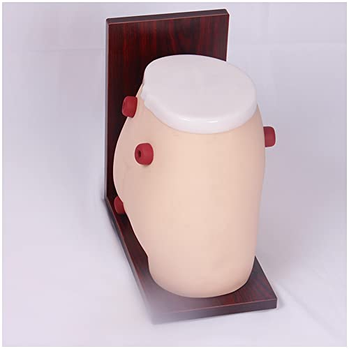 K99 Modelo de enfermería de ostomía de la fistua Avanzada - Modelo de enseñanza de Manikin - Ileostomía Colostomía Molde Médico Capacitación Educativa Ayuda