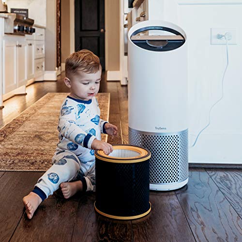 Leitz Trusens Recambio de Filtro 3 en 1 HEPA para Eliminación de Malos Olores, COV-s y Sustancias Contaminantes del Aire, Filtro de Carbón para Purificadores de Aire Leitz Z-3000/Z-3500, 2415125