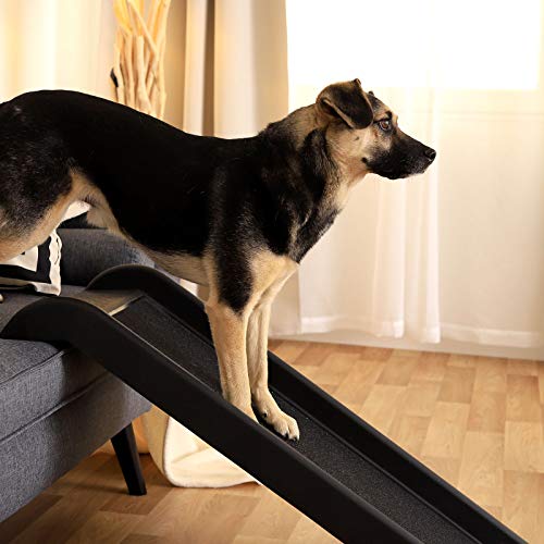 lionto by dibea Rampa plegable de plástico para perros para coche antideslizante 100 x 38 cm
